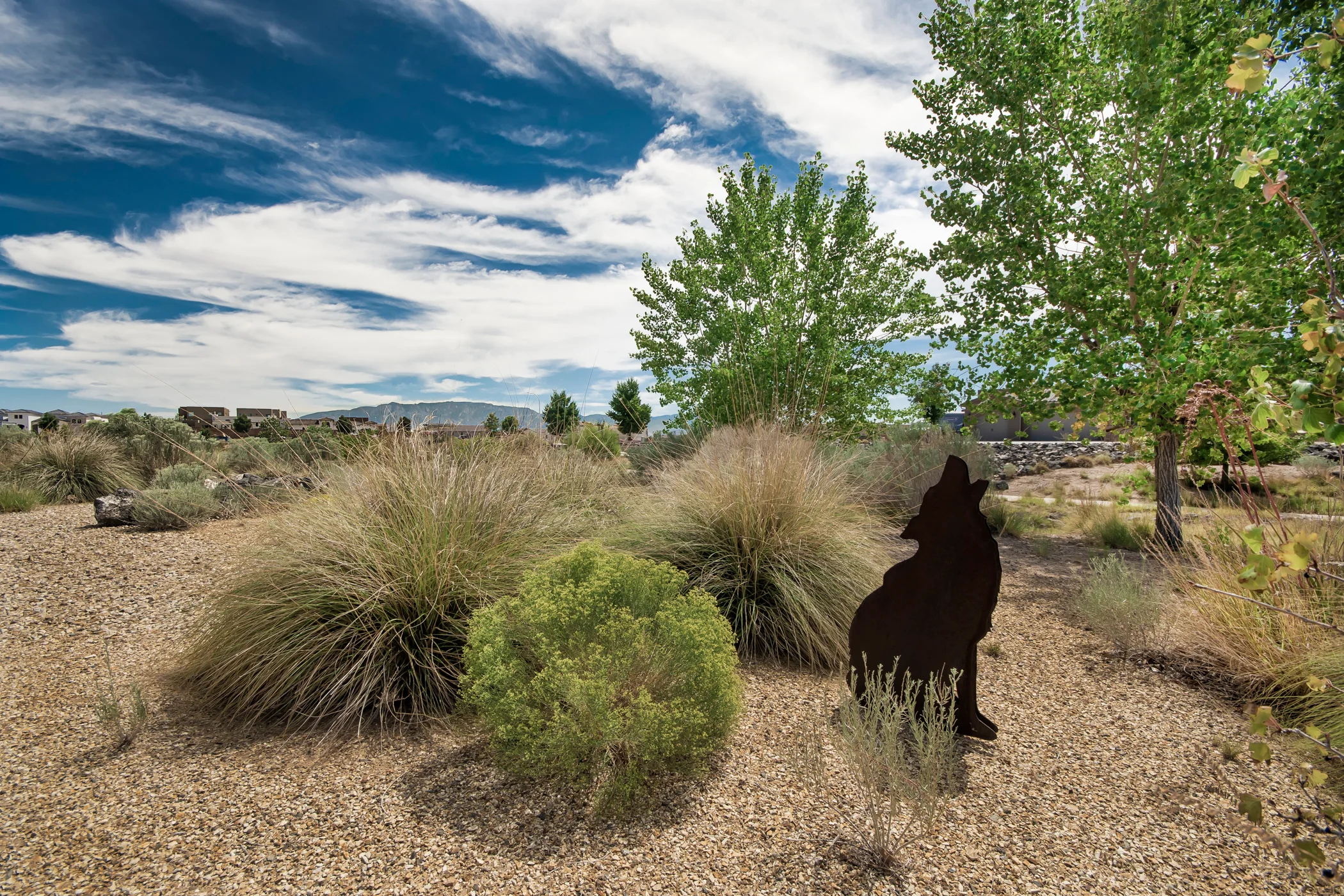 Petroglyph Estates Park
